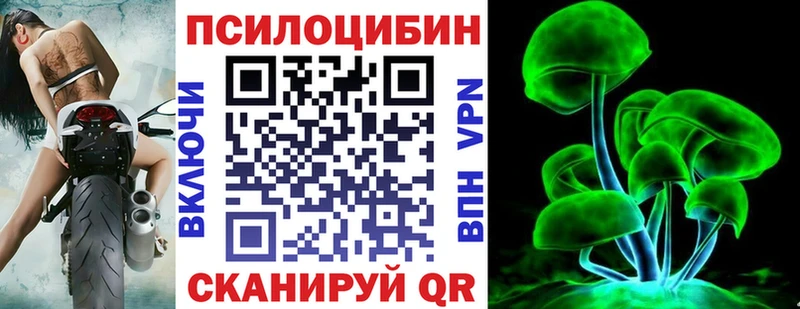 Галлюциногенные грибы Psilocybine cubensis Рудня